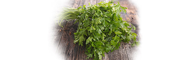 perejil para bajar de peso