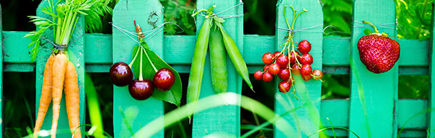 alimentacion para una piel sana