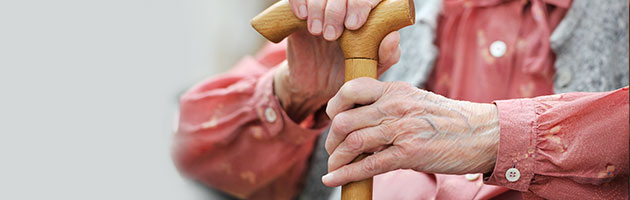 proceso biologico del envejecimineto