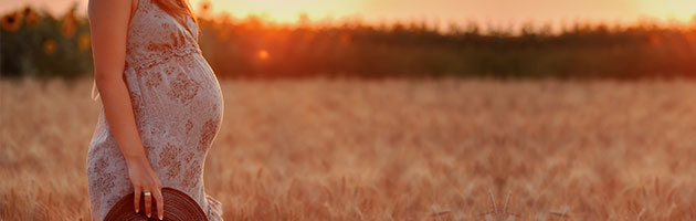 dha durante el embarazo