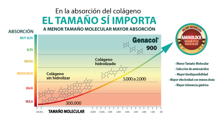 Peso Molecular del Colágeno