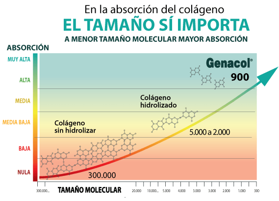 Peso Molecular del Colágeno