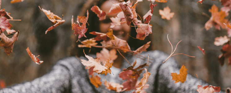 Newscience defensas otoño